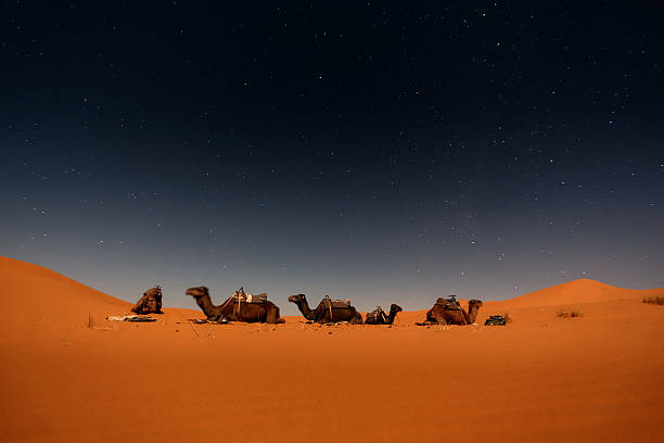 3 días desde Marrakech a Fez por al Desierto, Viaje a Fez 3 días, Excursión de Marrakech a Fez pasando por el desierto sahariano de Merzouga.